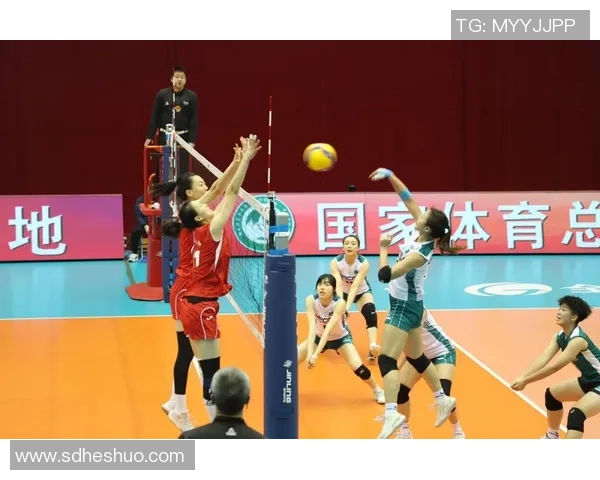 上海乒乓球队防反革新之路：技术突破与战术创新的深度探讨