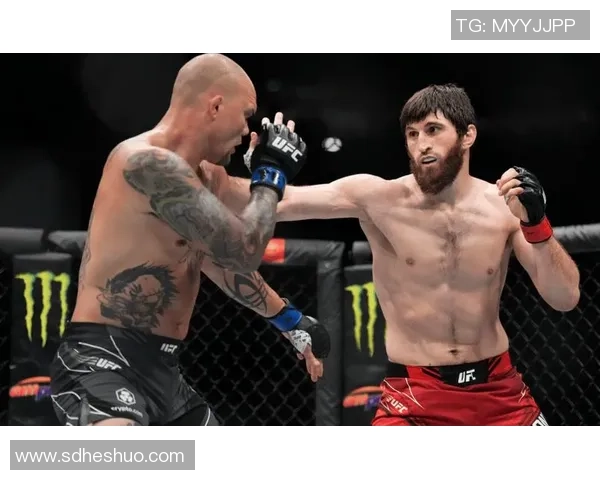 UFC骨头琼斯与贝德的巅峰对决谁将成为新的冠军之王