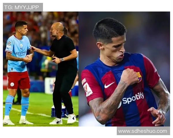 坎塞洛：从边后卫到全能战士的蜕变之路与足球生涯的精彩瞬间