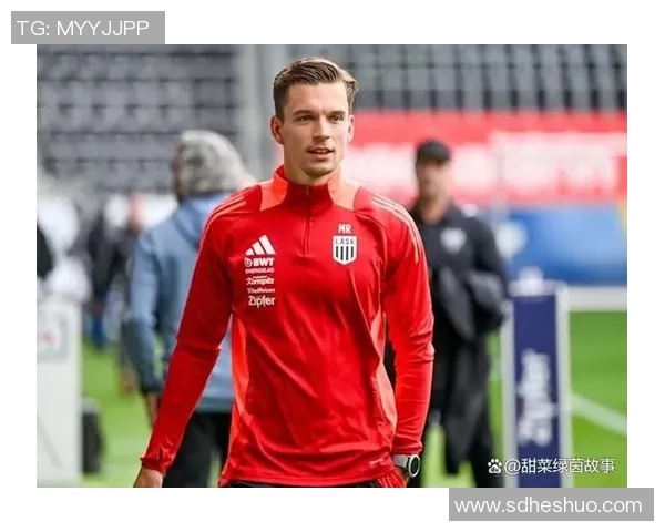 奥地利维也纳与林茨的精彩对决揭示足球魅力与战术智慧的碰撞