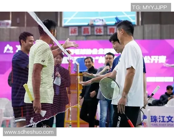 孙完虎与林丹精彩对决直播全程回顾与赛后分析