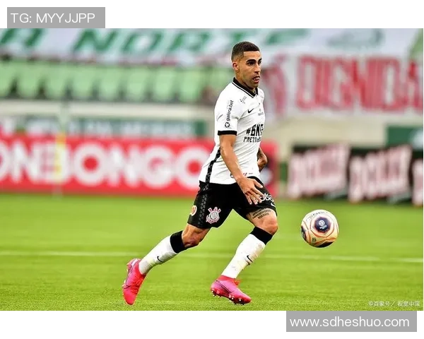 帕梅拉斯与米美洲对决前瞻分析及比赛结果预测