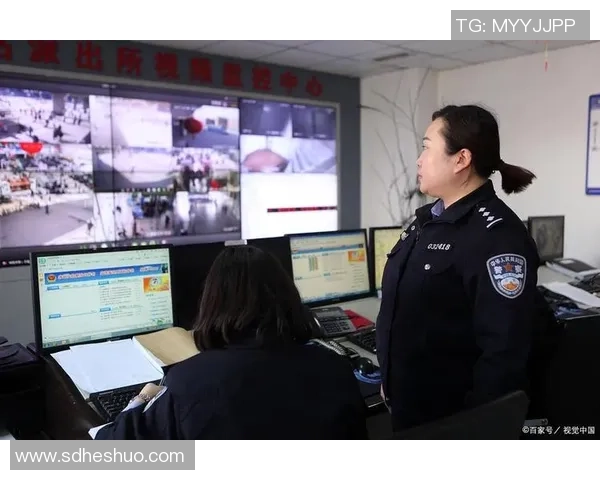 成都排球队阵地战体系解析与战术创新研究 成都排球队阵地战体系解析与战术创新研究