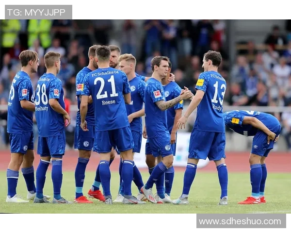 拜仁慕尼黑迎战沙尔克04前瞻分析及比赛预测全方位解读