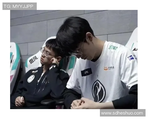 杭州篮球队的成长之路：从默默无闻到璀璨辉煌的纪实故事MBA