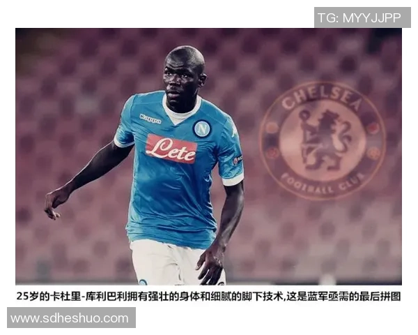 深圳篮球队的技术揭秘：从战术到训练的全面分析与探讨