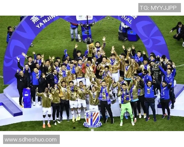 申花迎战深圳足协杯激战在即球迷期待精彩对决与历史交锋