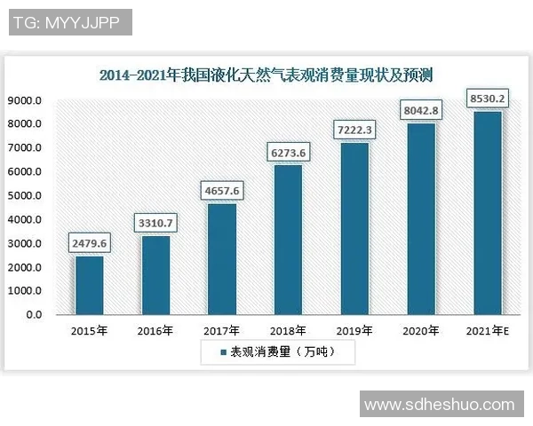 独家深度解析LNG行业中个人能力的差异与影响因素 独家深度解析LNG行业中个人能力的差异与影响因素