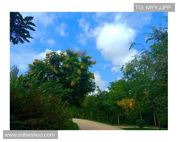 翟晓川：从篮球场的拼搏到人生舞台的精彩转身