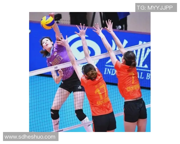 聚焦排球战术解析：杭州排球队如何在赛场上取得胜利