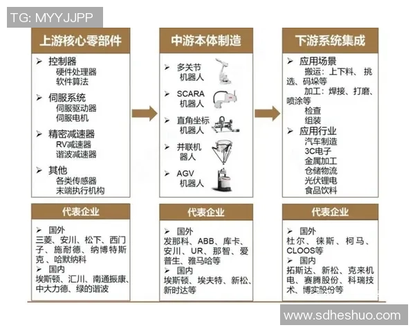 篮球明星的成长之路与职业生涯全景解析