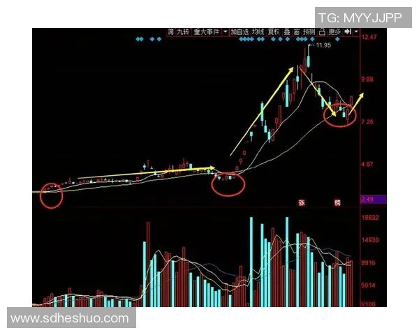 专业解析LNG市场的防御与反击策略探讨