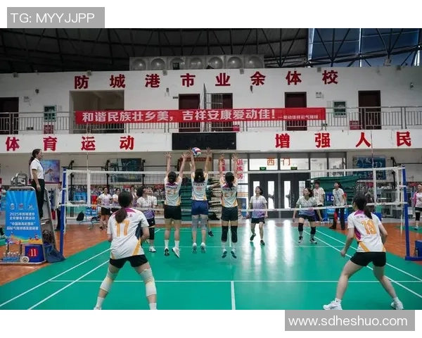 武汉排球队在邀请赛中的强势表现与未来发展潜力分析